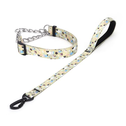 Haoyueer Martingale Hundehalsband und Leine, Edelstahlkette, kein Ziehen, Trainingshalsband mit Blumen-Design, für kleine, mittelgroße und große Hunde (NO14, M) von haoyueer
