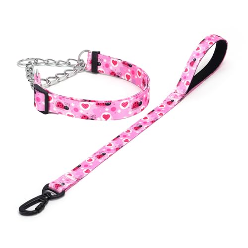 Haoyueer Martingale Hundehalsband und Leine, Edelstahlkette, kein Ziehen, Trainingshalsband mit Blumen-Design, für kleine, mittelgroße und große Hunde (NO20, M) von haoyueer
