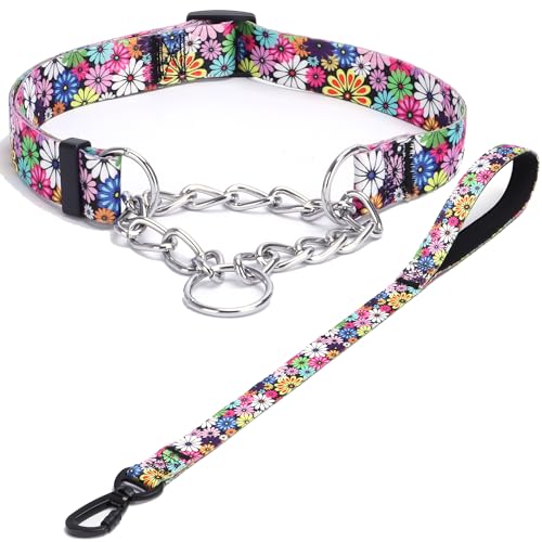 Haoyueer Martingale Hundehalsband und Leine, Edelstahlkette, kein Ziehen, Trainingshalsband mit Blumen-Design, für kleine, mittelgroße und große Hunde (NO23, S) von haoyueer