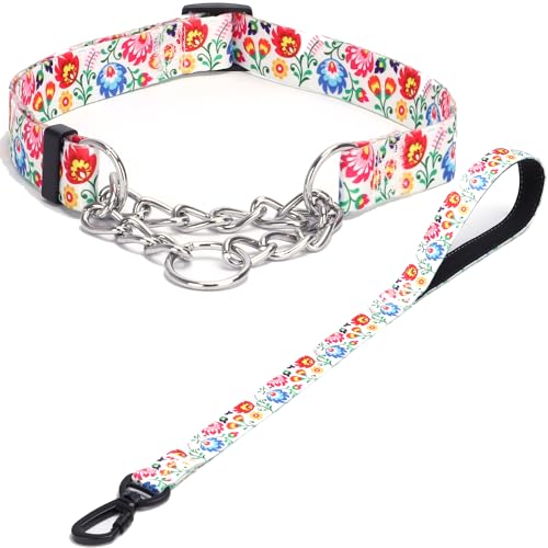 Haoyueer Martingale Hundehalsband und Leine, Edelstahlkette, kein Ziehen, Trainingshalsband mit Blumen-Design, für kleine, mittelgroße und große Hunde (NO25, L) von haoyueer