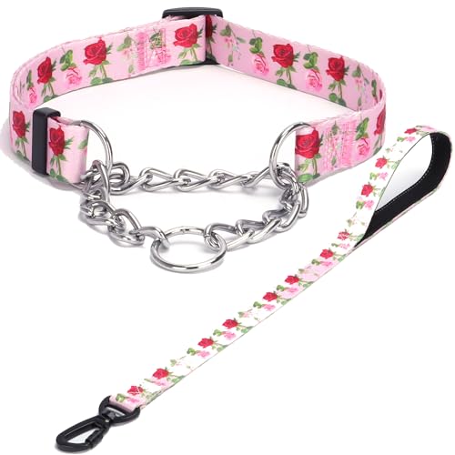 Haoyueer Martingale Hundehalsband und Leine, Edelstahlkette, kein Ziehen, Trainingshalsband mit Blumen-Design, für kleine, mittelgroße und große Hunde (NO27, M) von haoyueer