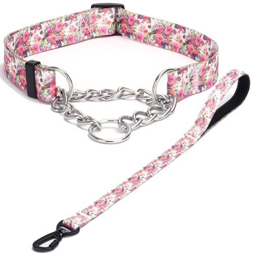 Haoyueer Martingale Hundehalsband und Leine, Edelstahlkette, kein Ziehen, Trainingshalsband mit Blumen-Design, für kleine, mittelgroße und große Hunde (NO28, L) von haoyueer