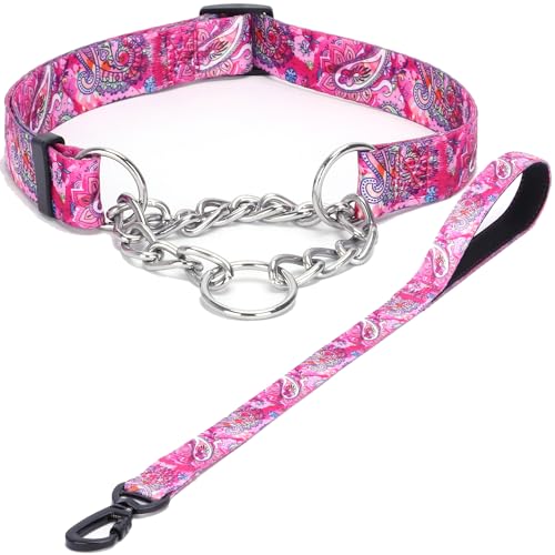 Haoyueer Martingale Hundehalsband und Leine, Edelstahlkette, kein Ziehen, Trainingshalsband mit Blumen-Design, für kleine, mittelgroße und große Hunde (NO30, M) von haoyueer