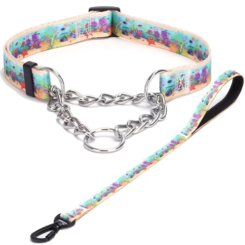 Haoyueer Martingale Hundehalsband und Leine, Edelstahlkette, kein Ziehen, Trainingshalsband mit Blumen-Design, für kleine, mittelgroße und große Hunde (NO31, M) von haoyueer