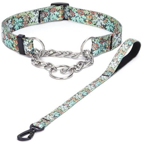 Haoyueer Martingale Hundehalsband und Leine, Edelstahlkette, kein Ziehen, Trainingshalsband mit Blumen-Design, für kleine, mittelgroße und große Hunde (NO35, L) von haoyueer