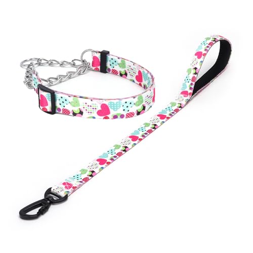 Haoyueer Martingale Hundehalsband und Leine, Edelstahlkette, kein Ziehen, Trainingshalsband mit Blumen-Design, für kleine, mittelgroße und große Hunde (NO4, L) von haoyueer