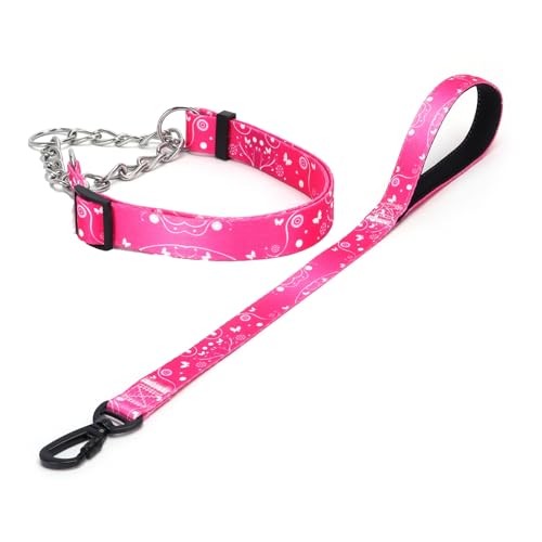 Haoyueer Martingale Hundehalsband und Leine, Edelstahlkette, kein Ziehen, Trainingshalsband mit Blumen-Design, für kleine, mittelgroße und große Hunde (NO6, S) von haoyueer