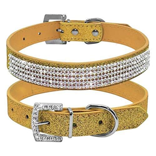 Haoyueer Niedliches, schillerndes, glitzerndes Lederhalsband für Hunde und Katzen, Strass, Kristall, Diamant, Haustier-Halsband für Hunde und Katzen (Gold, M) von haoyueer