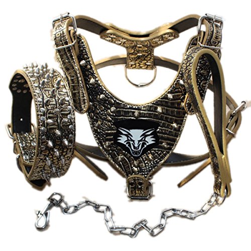 haoyueer Hundegeschirr, Halsband und Leine, mittelgroß und groß, Leder, mit Nieten, für mittelgroße und große Hunde, Größe S, Goldbraun, 3-teiliges Set haoyueer Hundegeschirr, Halsband und Leine, mittelgroß und groß, Leder, mit Nieten, für mittelgroße und große Hunde, Größe S, Goldbraun, 3-teiliges Set von haoyueer
