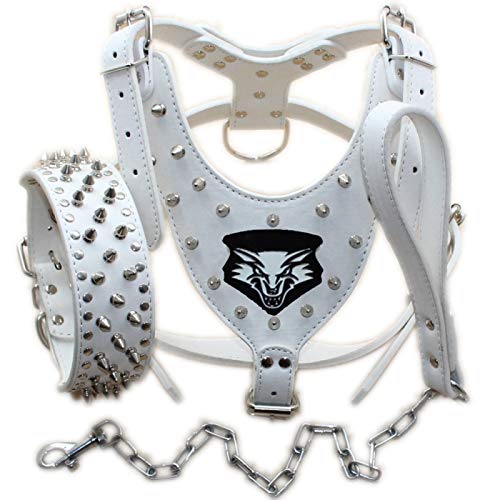 haoyueer Hundegeschirr aus Leder, Halsband und Leine, mit Nieten, 3-teiliges Set für mittelgroße und große Hunde z. B. Pitbull, Mastiff, Boxer, Bullterrier, 3er-Set, Größe L, weiß haoyueer Hundegeschirr aus Leder, Halsband und Leine, mit Nieten, 3-teiliges Set für mittelgroße und große Hunde z. B. Pitbull, Mastiff, Boxer, Bullterrier, 3er-Set, Größe L, weiß von haoyueer