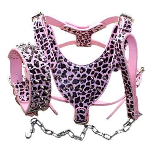 haoyueer Hundehalsbänder, Geschirr und Kettenleinen, Leder, mit Nieten, mittlere und große Nieten, 3-teiliges Set für Pit Bull, Mastiff, Boxer, Bullterrier (XL, rosa Leopard) von haoyueer