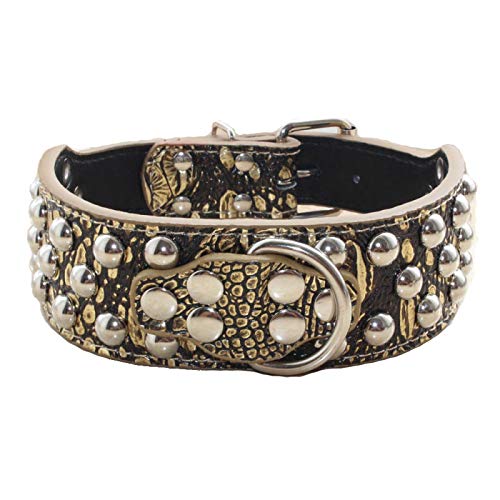 haoyueer Leder-Hundehalsband, 5,1 cm breit, 3-reihig, mit Nieten, für mittelgroße und große Hunde, Pitbull, Mastiff, Boxer, Bull, etc. (S, Goldbraun) haoyueer Leder-Hundehalsband, 5,1 cm breit, 3-reihig, mit Nieten, für mittelgroße und große Hunde, Pitbull, Mastiff, Boxer, Bull, etc. (S, Goldbraun) von haoyueer