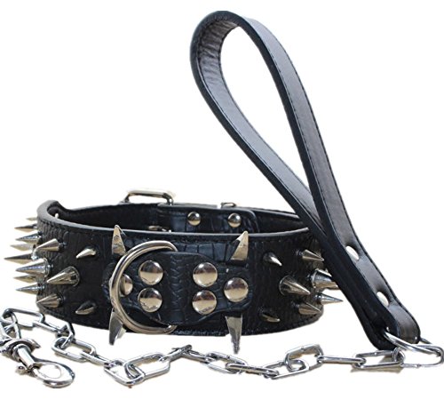 haoyueer Hundehalsband, 5,1 cm breit, Leder, spitz, Nieten, Pit Bull Terrier (schwarz, M) von haoyueer
