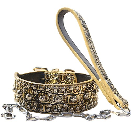 haoyueer Hundehalsband, Leder, Nieten, Kombi-Set, Haustierzubehör für mittelgroße und große Pitbull, Husky, Mastiff-Terrier, 5,1 cm breit, Größe M, Goldbraun von haoyueer
