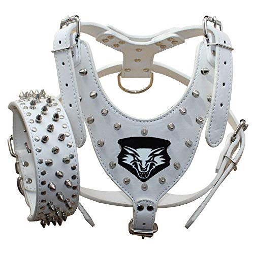 haoyueer Hundehalsbänder aus Leder, mit Nieten, mittlere und große Hundegeschirr, passendes Set für Pit Bull, Mastiff, Boxer, Bullterrier (L, Weiß) 1) von haoyueer