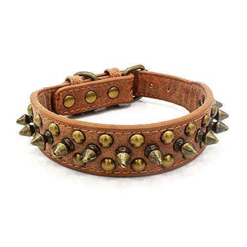haoyueer Hundehalsband, weiches PU-Leder, Pilze, Nieten, Nieten, Welpen, verstellbare Katzenhalsbänder (S, Braun 2) von haoyueer
