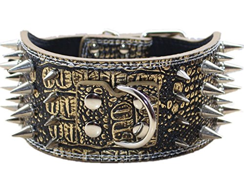 haoyueer Hundehalsband aus Leder, 7,6 cm, spitz, Nieten, für Training, Sport, Walking, Größe M, L, XL, für Pitbull, Labrador, Boxer (XL, Goldbraun) von haoyueer