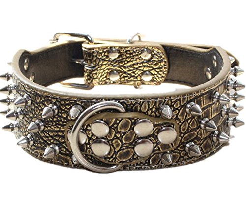 haoyueer Hundehalsband aus Leder mit Spikes, Rundnieten, 5,1 cm breit, stilvolles Leder-Hundehalsband für mittelgroße und große Hunde, Pitbull ... (XL, Goldbraun) haoyueer Hundehalsband aus Leder mit Spikes, Rundnieten, 5,1 cm breit, stilvolles Leder-Hundehalsband für mittelgroße und große Hunde, Pitbull ... (XL, Goldbraun) von haoyueer