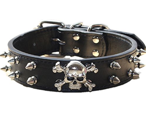 haoyueer Hundehalsband aus Leder mit Nieten, 2 Reihen Kugelnieten, PU-Leder – Cooles Totenkopf-Zubehör für mittelgroße und große Hunde (schwarz, M) haoyueer Hundehalsband aus Leder mit Nieten, 2 Reihen Kugelnieten, PU-Leder – Cooles Totenkopf-Zubehör für mittelgroße und große Hunde (schwarz, M) von haoyueer