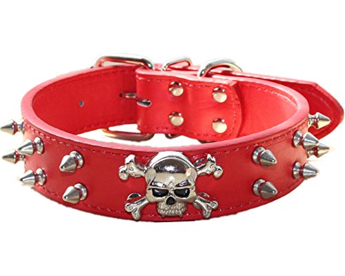 haoyueer Hundehalsband aus Leder mit Spikes, 2 Reihen, Nieten, PU-Leder, cooles Totenkopf-Haustierzubehör für mittelgroße und große Hunde (M, Rot) haoyueer Hundehalsband aus Leder mit Spikes, 2 Reihen, Nieten, PU-Leder, cooles Totenkopf-Haustierzubehör für mittelgroße und große Hunde (M, Rot) von haoyueer