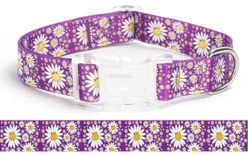 haoyueer Hundehalsband für Mädchen, mit Gänseblümchen-Muster, niedliches Hundehalsband für Welpen, verstellbar, weich, langlebig, Haustierhalsbänder für Katzen, XS, kleine, mittelgroße und große Hunde haoyueer Hundehalsband für Mädchen, mit Gänseblümchen-Muster, niedliches Hundehalsband für Welpen, verstellbar, weich, langlebig, Haustierhalsbänder für Katzen, XS, kleine, mittelgroße und große Hunde von haoyueer