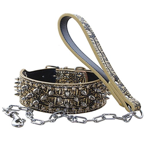 haoyueer Hundehalsband mit Nieten, Punk-Nieten, mit Edelstahlschnalle, weiches Leder, Kombi-Set, strapazierfähige Passform, Pitbull, Bulldogge, Dobermann (L, Goldbraun) von haoyueer
