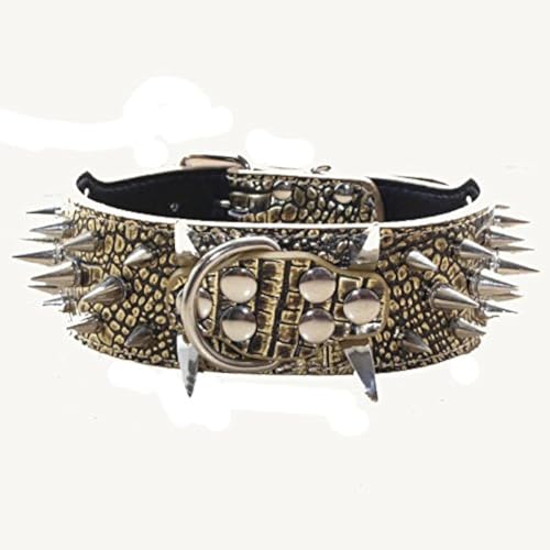 haoyueer Hundehalsband mit Spitzen Nieten, 5,1 cm breit, stilvolles Lederhalsband für mittelgroße und große Hunde, Pitbull, Labrador, Boxer Rottweiler, Deutscher Schäferhund, Goldbraun, M haoyueer Hundehalsband mit Spitzen Nieten, 5,1 cm breit, stilvolles Lederhalsband für mittelgroße und große Hunde, Pitbull, Labrador, Boxer Rottweiler, Deutscher Schäferhund, Goldbraun, M von haoyueer