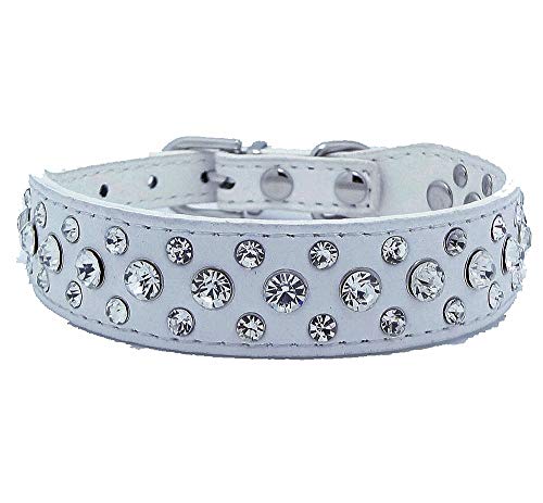 haoyueer Hundehalsband aus PU-Leder mit Strasssteinen für Haustiere, Hunde, Katzen, Welpen, Größe S, M, L, XL (M, Weiß) haoyueer Hundehalsband aus PU-Leder mit Strasssteinen für Haustiere, Hunde, Katzen, Welpen, Größe S, M, L, XL (M, Weiß) von haoyueer
