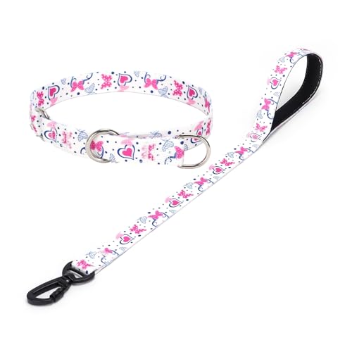 haoyueer Hundehalsband und Leine, Schlupfhalsband mit Stop-Ring, kein Ziehen, Martingalhalsband für Hunde, für kleine, mittelgroße und große Hunde (NO11, L) von haoyueer