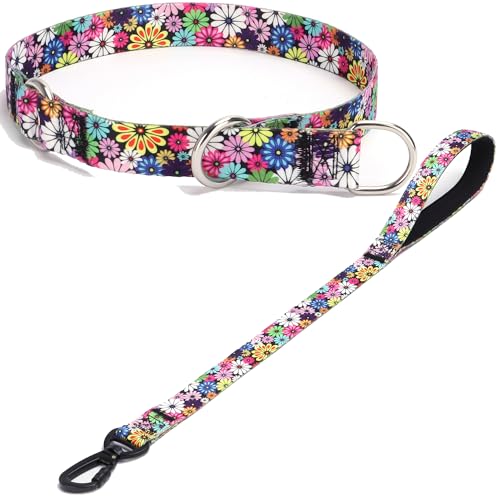 haoyueer Hundehalsband und Leine, Schlupfhalsband mit Stop-Ring, kein Ziehen, Martingalhalsband für Hunde, für kleine, mittelgroße und große Hunde (NO13, S) von haoyueer