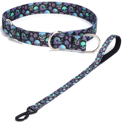 haoyueer Hundehalsband und Leine, Schlupfhalsband mit Stop-Ring, kein Ziehen, Martingalhalsband für Hunde, für kleine, mittelgroße und große Hunde (NO14, M) von haoyueer