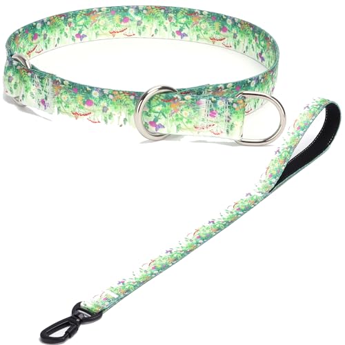 haoyueer Hundehalsband und Leine, Schlupfhalsband mit Stop-Ring, kein Ziehen, Martingalhalsband für Hunde, für kleine, mittelgroße und große Hunde (NO20, M) von haoyueer