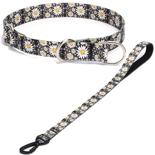 haoyueer Hundehalsband und Leine, Schlupfhalsband mit Stop-Ring, kein Ziehen, Martingalhalsband für Hunde, für kleine, mittelgroße und große Hunde (NO21, S) von haoyueer