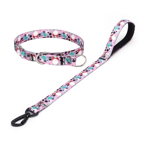 haoyueer Hundehalsband und Leine, Schlupfhalsband mit Stop-Ring, kein Ziehen, Martingalhalsband für Hunde, für kleine, mittelgroße und große Hunde (NO9, L) von haoyueer