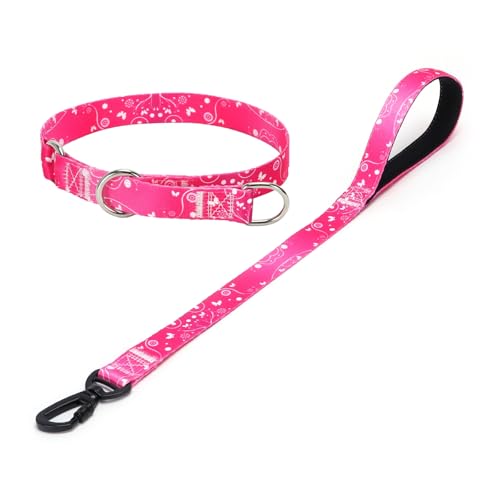 haoyueer Hundehalsband und Leine, Schlupfhalsband mit Stop-Ring, kein Ziehen, Martingalhalsband für Hunde, für kleine, mittelgroße und große Hunde (Nr. 1, S) von haoyueer