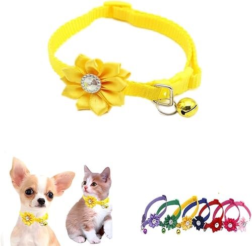 haoyueer Katzenhalsband mit Glöckchen, Blume, XS, niedlich, ausgefallenes Welpenhalsband mit Glöckchen, für XXS, XS, kleines Kätzchen, Haustier, Hündinnen, Halsumfang 17,8 - 30,5 cm, Gelb, Halsumfang haoyueer Katzenhalsband mit Glöckchen, Blume, XS, niedlich, ausgefallenes Welpenhalsband mit Glöckchen, für XXS, XS, kleines Kätzchen, Haustier, Hündinnen, Halsumfang 17,8 - 30,5 cm, Gelb, Halsumfang von haoyueer