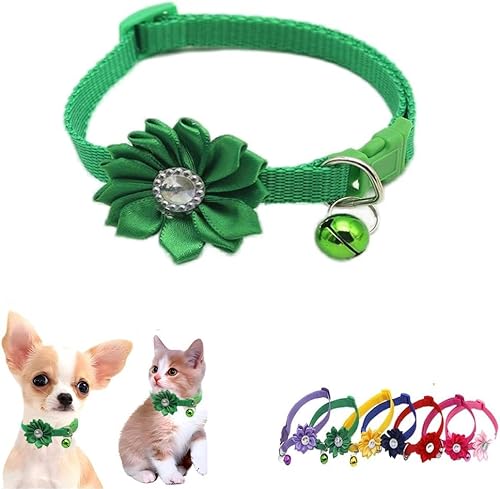 haoyueer Katzenhalsband mit Glöckchen, Blume, XS, niedlich, ausgefallenes Welpenhalsband mit Glöckchen, für XXS, XS, kleines Kätzchen, Haustier, Hündinnen, Halsumfang 17,8 - 30,5 cm, Grün, Halsumfang haoyueer Katzenhalsband mit Glöckchen, Blume, XS, niedlich, ausgefallenes Welpenhalsband mit Glöckchen, für XXS, XS, kleines Kätzchen, Haustier, Hündinnen, Halsumfang 17,8 - 30,5 cm, Grün, Halsumfang von haoyueer