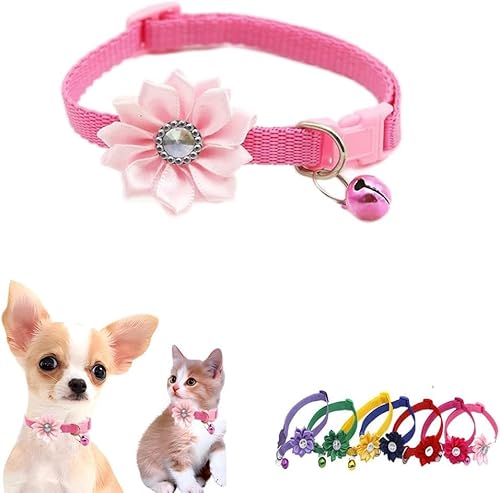 haoyueer Katzenhalsband mit Glöckchen, Blume, XS, niedlich, ausgefallenes Welpenhalsband mit Glöckchen, für XXS, XS, kleines Kätzchen, Haustier, Hündinnen, Halsumfang 17,8 - 30,5 cm, Rosa, Halsumfang haoyueer Katzenhalsband mit Glöckchen, Blume, XS, niedlich, ausgefallenes Welpenhalsband mit Glöckchen, für XXS, XS, kleines Kätzchen, Haustier, Hündinnen, Halsumfang 17,8 - 30,5 cm, Rosa, Halsumfang von haoyueer