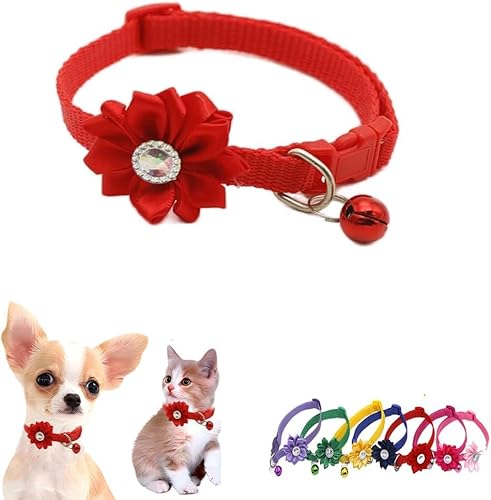 haoyueer Katzenhalsband mit Glöckchen, Blume, XS, niedlich, ausgefallenes Welpenhalsband mit Glöckchen, für XXS, XS, kleines Kätzchen, Haustier, Hündinnen, Halsumfang 17,8 - 30,5 cm, Rot, Halsumfang haoyueer Katzenhalsband mit Glöckchen, Blume, XS, niedlich, ausgefallenes Welpenhalsband mit Glöckchen, für XXS, XS, kleines Kätzchen, Haustier, Hündinnen, Halsumfang 17,8 - 30,5 cm, Rot, Halsumfang von haoyueer