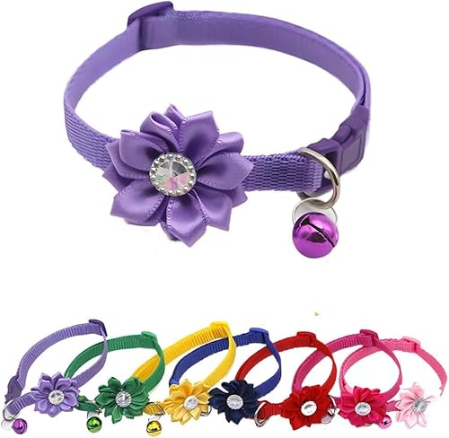 haoyueer Katzenhalsband mit Glöckchen, Blume, XS, niedlich, ausgefallenes Welpenhalsband mit Glöckchen, für XXS, XS, kleines Kätzchen, Haustier, Hündinnen, Halsumfang 17,8 - 30,5 cm, Violett, haoyueer Katzenhalsband mit Glöckchen, Blume, XS, niedlich, ausgefallenes Welpenhalsband mit Glöckchen, für XXS, XS, kleines Kätzchen, Haustier, Hündinnen, Halsumfang 17,8 - 30,5 cm, Violett, von haoyueer