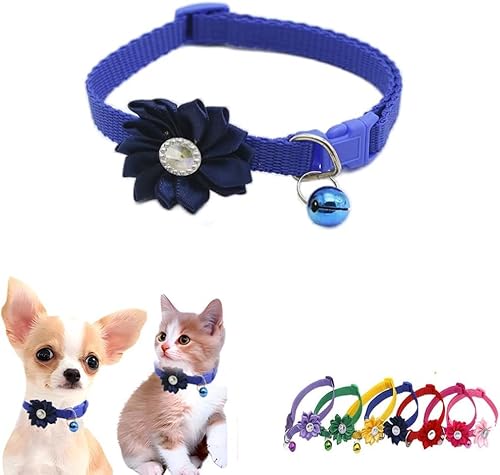 haoyueer Katzenhalsband mit Glöckchen, Blumenmuster, für Mädchen, niedlich, ausgefallenes Welpenhalsband mit Glöckchen, für XXS, XS, kleines Kätzchen, Haustier, Hündinnen, Halsumfang 17,8 - 30,5 cm, haoyueer Katzenhalsband mit Glöckchen, Blumenmuster, für Mädchen, niedlich, ausgefallenes Welpenhalsband mit Glöckchen, für XXS, XS, kleines Kätzchen, Haustier, Hündinnen, Halsumfang 17,8 - 30,5 cm, von haoyueer