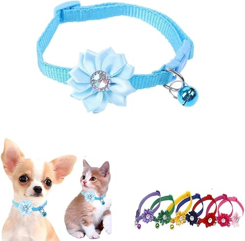 haoyueer Katzenhalsband mit Glöckchen, Blumenmuster, für Mädchen, niedlich, ausgefallenes Welpenhalsband mit Glöckchen, für XXS, XS, kleines Kätzchen, Haustier, Hündinnen, Halsumfang 17,8 - 30,5 cm, haoyueer Katzenhalsband mit Glöckchen, Blumenmuster, für Mädchen, niedlich, ausgefallenes Welpenhalsband mit Glöckchen, für XXS, XS, kleines Kätzchen, Haustier, Hündinnen, Halsumfang 17,8 - 30,5 cm, von haoyueer