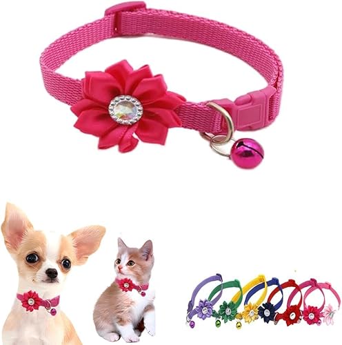 haoyueer Katzenhalsband mit Glöckchen, Blumenmuster, für Mädchen, niedlich, ausgefallenes Welpenhalsband mit Glöckchen, für XXS, XS, kleines Kätzchen, Haustier, Hündinnen, Halsumfang 17,8 - 30,5 cm, haoyueer Katzenhalsband mit Glöckchen, Blumenmuster, für Mädchen, niedlich, ausgefallenes Welpenhalsband mit Glöckchen, für XXS, XS, kleines Kätzchen, Haustier, Hündinnen, Halsumfang 17,8 - 30,5 cm, von haoyueer