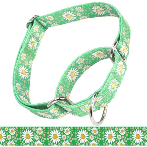 haoyueer Martingale Halsband für Hunde, verstellbar, weiches Nylon, mit niedlichem Gänseblümchen-Design, Muster für kleine, mittelgroße und große Hunde (Grün, L) von haoyueer
