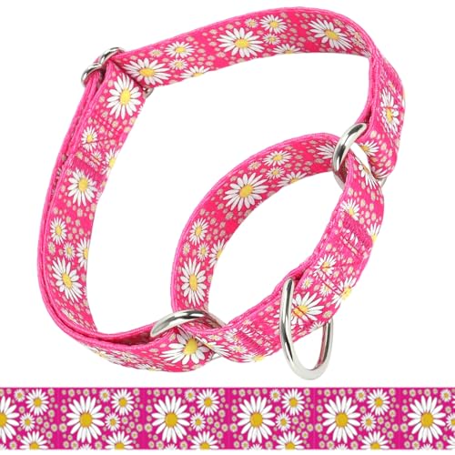 haoyueer Martingale Halsband für Hunde, verstellbar, weiches Nylon, mit niedlichem Gänseblümchen-Design, Muster für kleine, mittelgroße und große Hunde (Hot Pink, L) von haoyueer