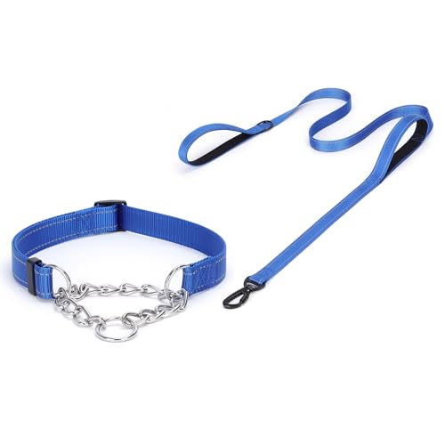 haoyueer Martingale Hundehalsband, Edelstahlkette, Martingalhalsband mit reflektierenden, verstellbaren für mittelgroße große Hunde (Dunkelblaues Set, S) von haoyueer
