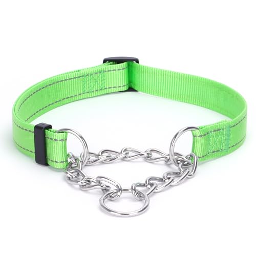 haoyueer Martingale Hundehalsband, Edelstahlkette, Martingalhalsband mit reflektierenden, verstellbaren für mittelgroße große Hunde (Grün, L) von haoyueer
