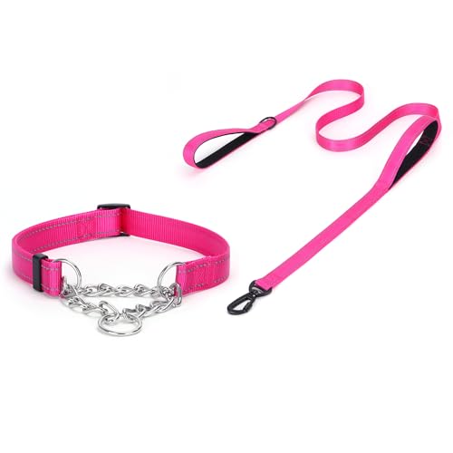 haoyueer Martingale Hundehalsband, Edelstahlkette, Martingalhalsband mit reflektierenden, verstellbaren für mittelgroße große Hunde (Hot Pink Set, M) von haoyueer