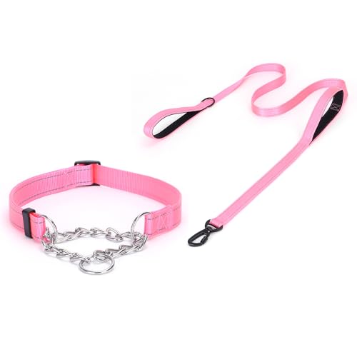 haoyueer Martingale Hundehalsband, Edelstahlkette, Martingalhalsband mit reflektierenden, verstellbaren für mittelgroße große Hunde (Rosa Set, M) von haoyueer