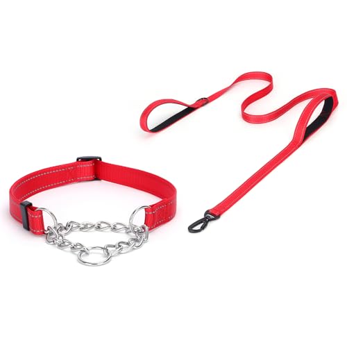 haoyueer Martingale Hundehalsband, Edelstahlkette, Martingalhalsband mit reflektierenden, verstellbaren für mittelgroße große Hunde (Rot Set, L) von haoyueer